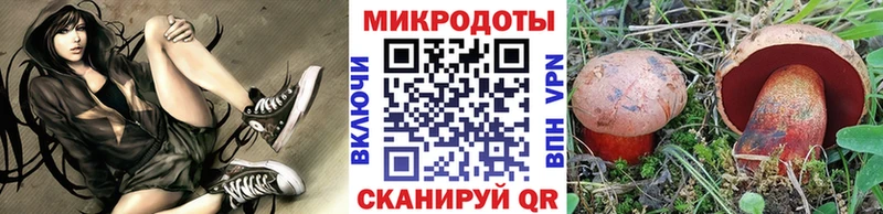 Псилоцибиновые грибы Psilocybine cubensis  Мосальск 